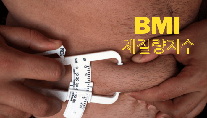 bmi-체질량지수