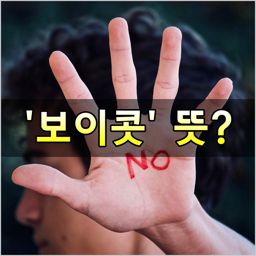 보이콧 뜻과 유래