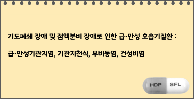 설포라제캡슐_효능