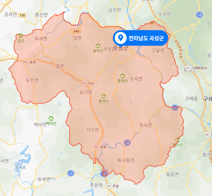  전남 곡성군 저수지 10대 형제 사망사건 (2022년 1월 29일)