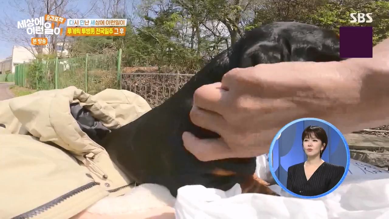 순간포착 세상에 이런일이.E1272.240407p-NEXT.mp4_20240407_175008.578.jpg