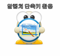  알캡처 단축키 활용