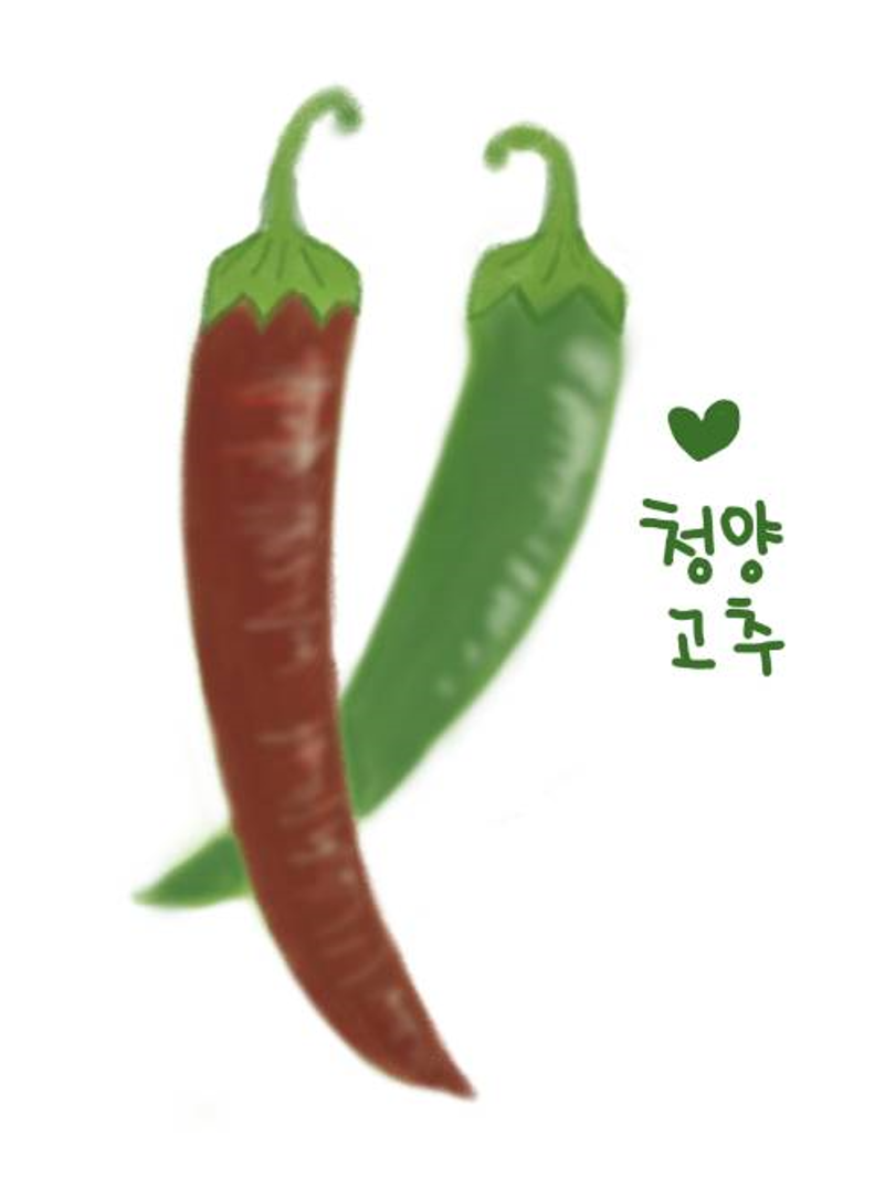 청양에너지 이미지