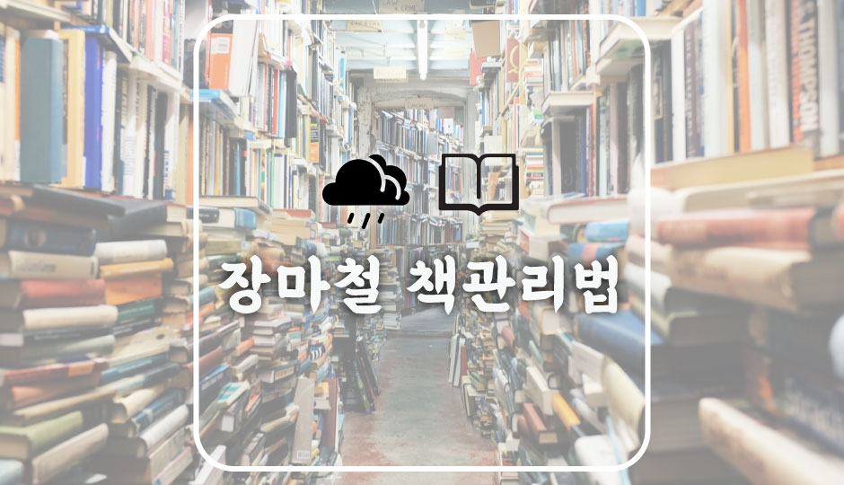  [장마철 책관리법] 습기로부터 소중한 내 책을 지키자 (feat. 물먹는하마)