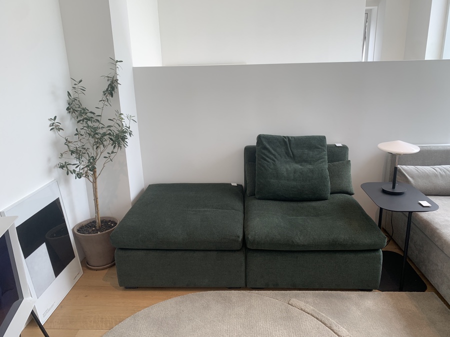 잭슨카멜레온, 플랜트란스 24