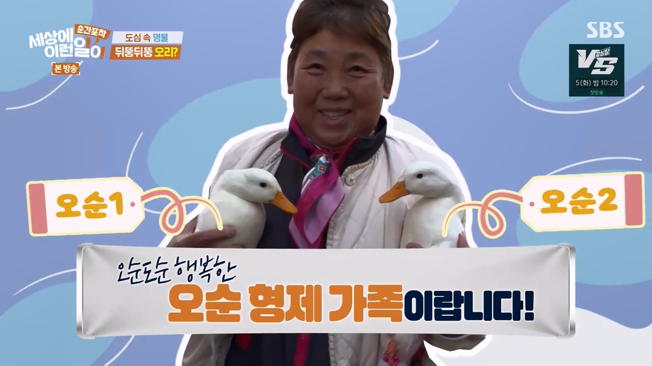 순간포착 세상에 이런일이.E1254.231203p-NEXT.mp4_20231203_134317.982.jpg