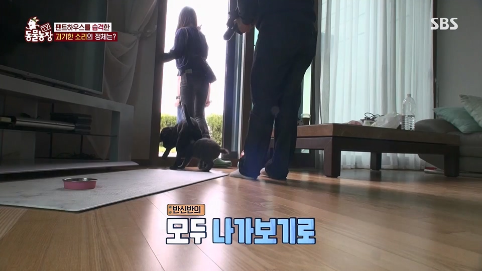 TV 동물농장.E1125.230618p.H264-F1RST.mp4_20230618_192109.334.jpg