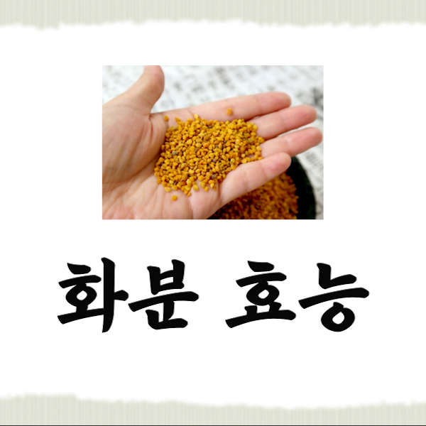 화분 효능 썸네일