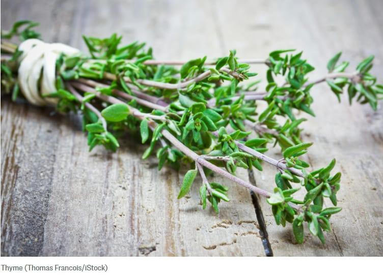 고혈압 정상화에 도움을 주는 식물 Herbs to Help Normalize High Blood Pressure