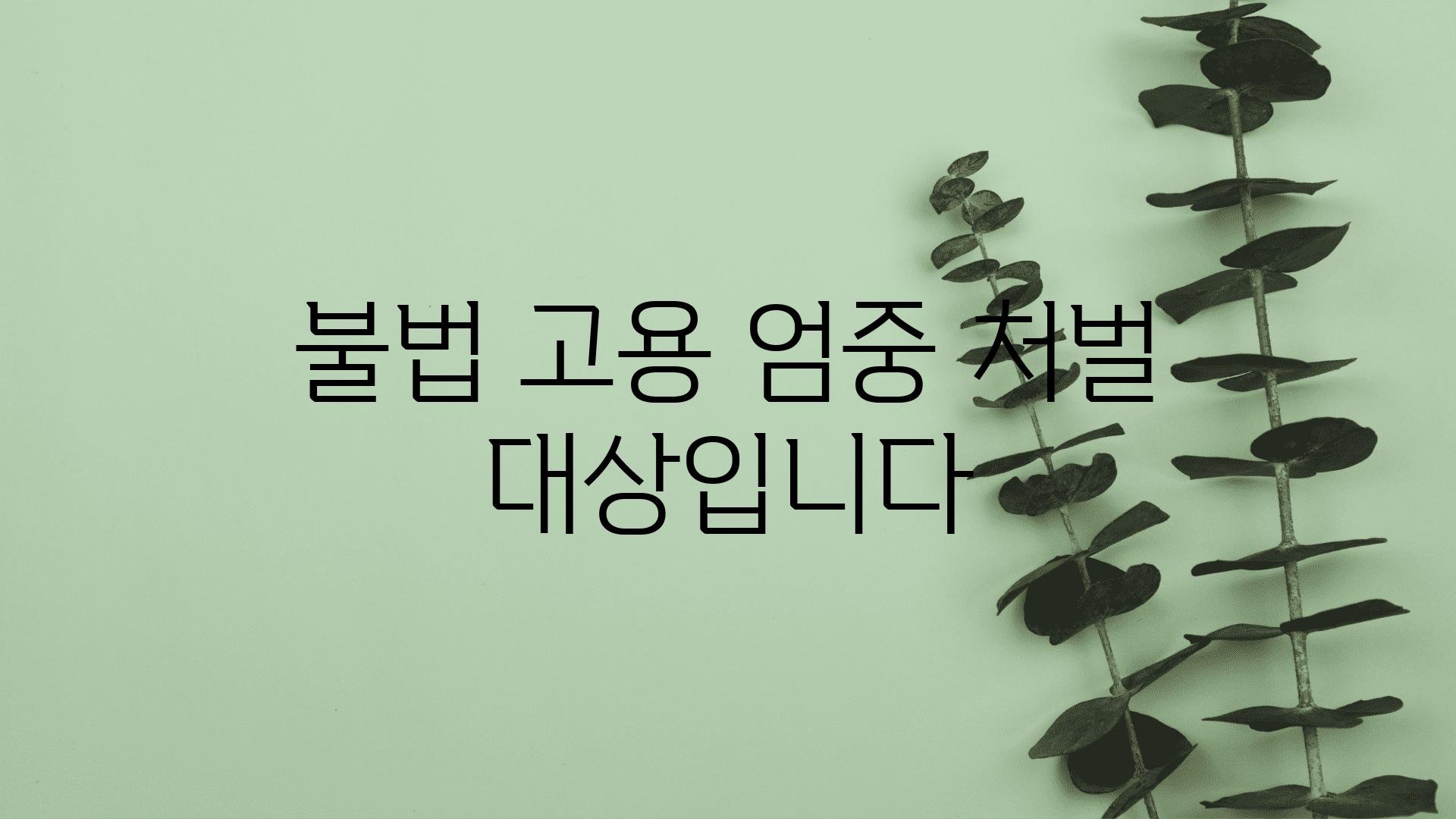 불법 고용 엄중 처벌 대상입니다