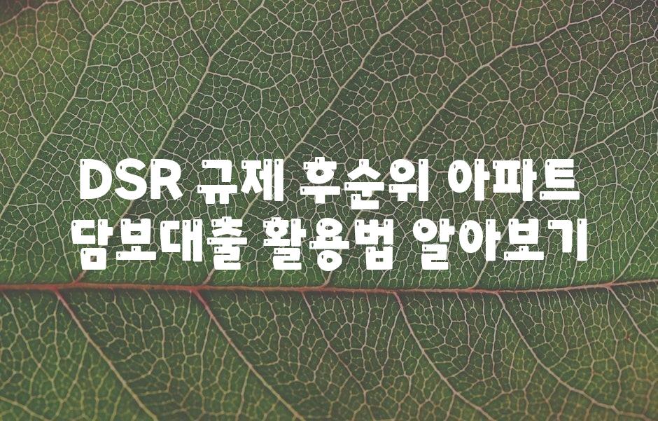 DSR 규제 후순위 아파트 담보대출 활용법 알아보기