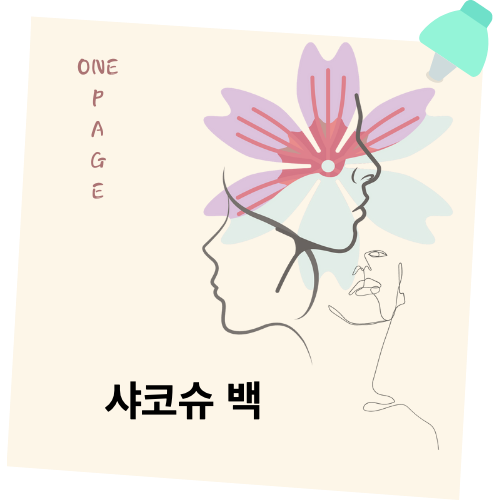  가을 포인트아이템! 샤코슈 백 리뷰
