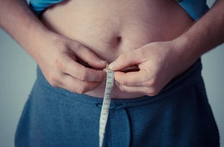  복부비만 원인 예방 방법 좋은음식 식이요법