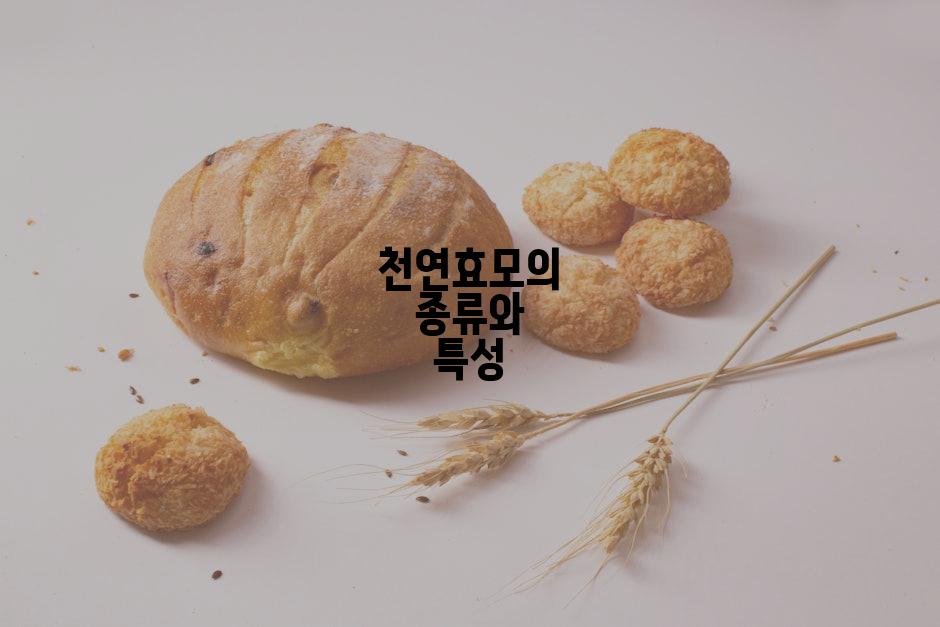 천연효모의 종류와 특성