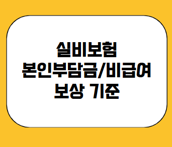 실비보험 실손보험 본인부담금 비급여 보상 기준