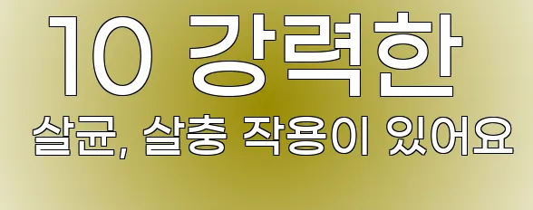  10 강력한 살균, 살충 작용이 있어요