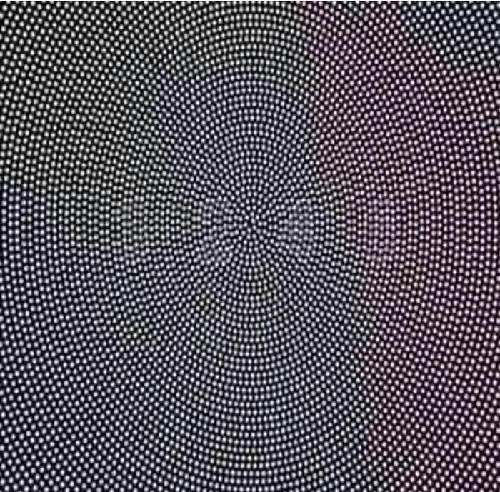 img.jpg