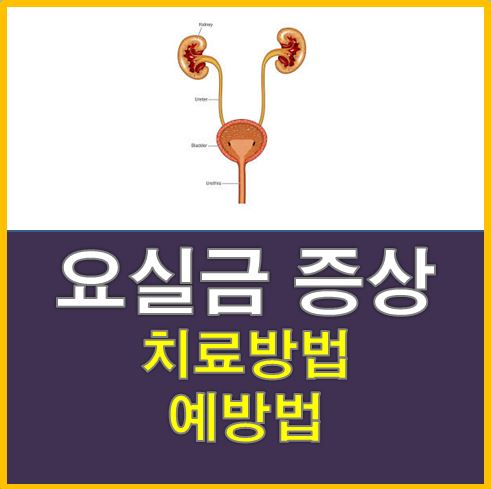  요실금 증상 & 치료방법