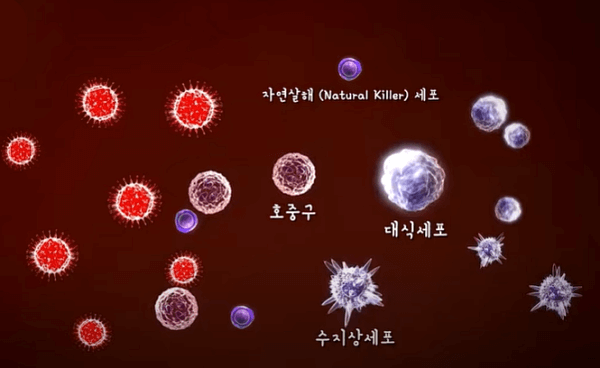 병원체-면역세포