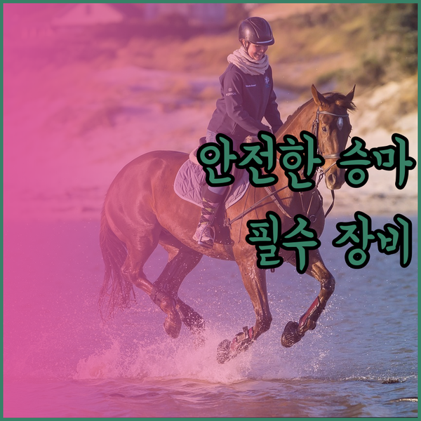 승마 새들, 안전하고 편안한 승마를 