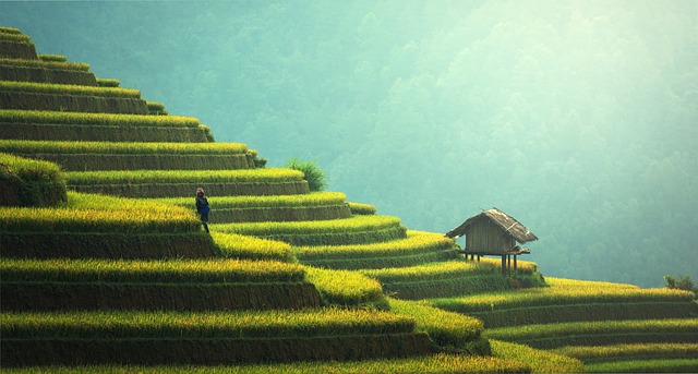 이름 변경 요청 방법(본인) 7