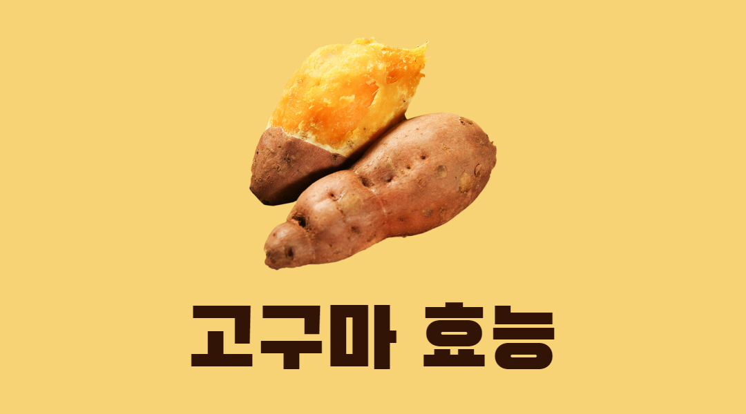  나만 모르는 고구마 효능 보관법 고르는법까지