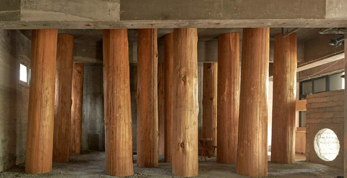  일본 우노의 평화로운 숲 같은 사무실 Large tree trunks arrow through tomoaki uno's peaceful forest-like office in japan