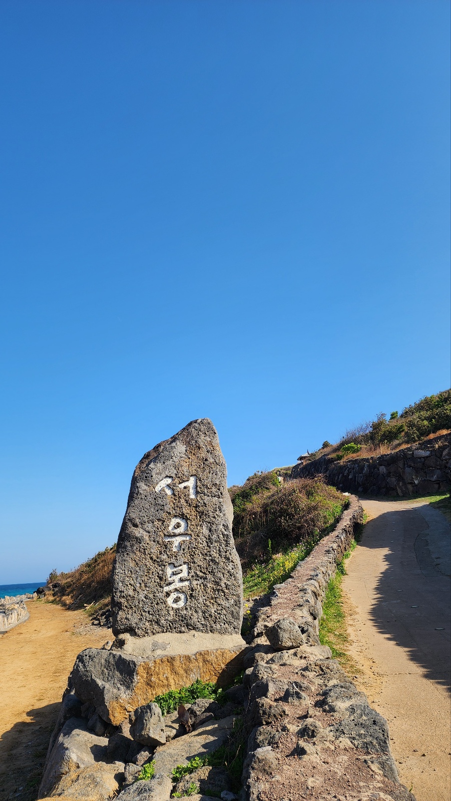 제주도 서우봉 유채꽃밭, 봄에 꼭 가야 할 최고의 사진 명소