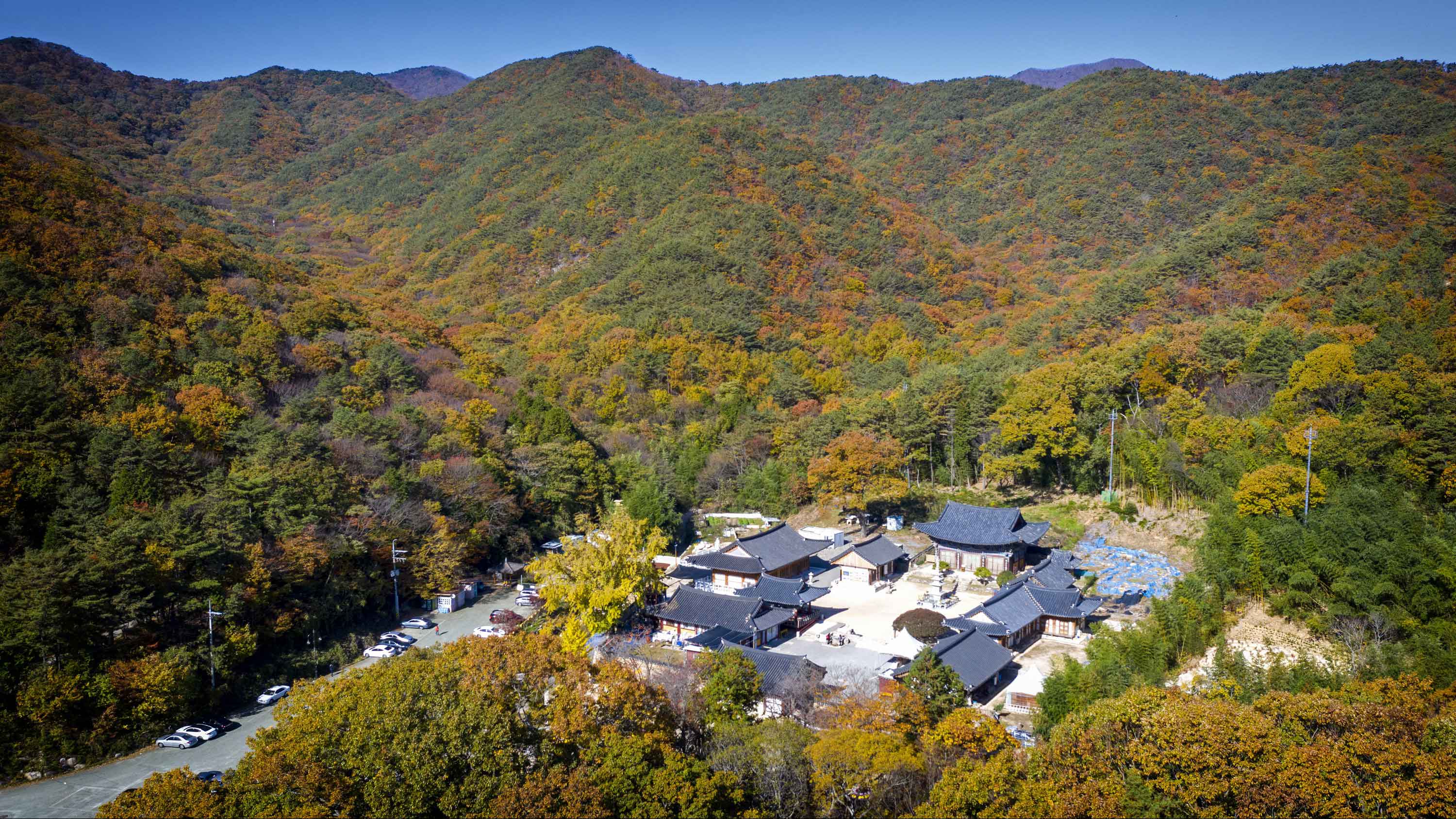 장안사