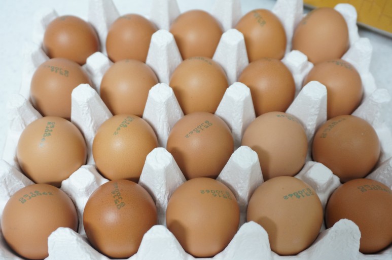 동물복지 인증 달걀 번호 동물복지인증 달걀 13