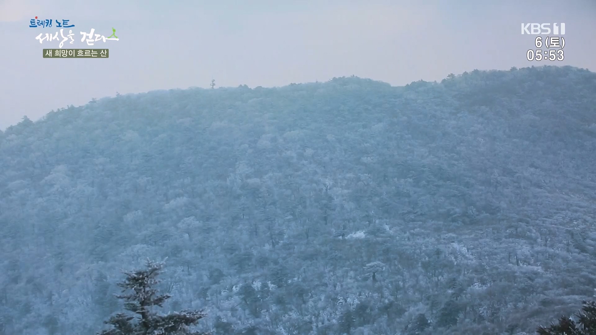 트레킹노트 세상을 걷다.E302.240106p.H264-F1RST.mp4_20240712_211028.313.jpg