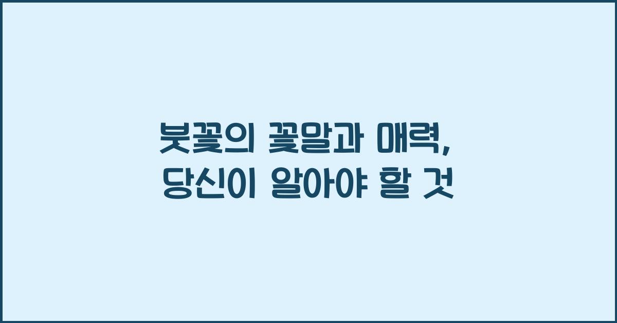 붓꽃의 꽃말과 매력