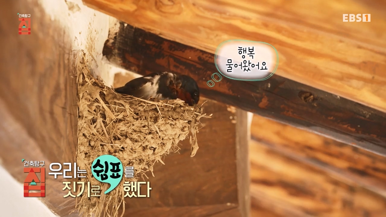TV - 전 국민의 평생학교 EBS우리는 쉼표를 짓기로 했다.mp4_20230928_171015.809.jpg