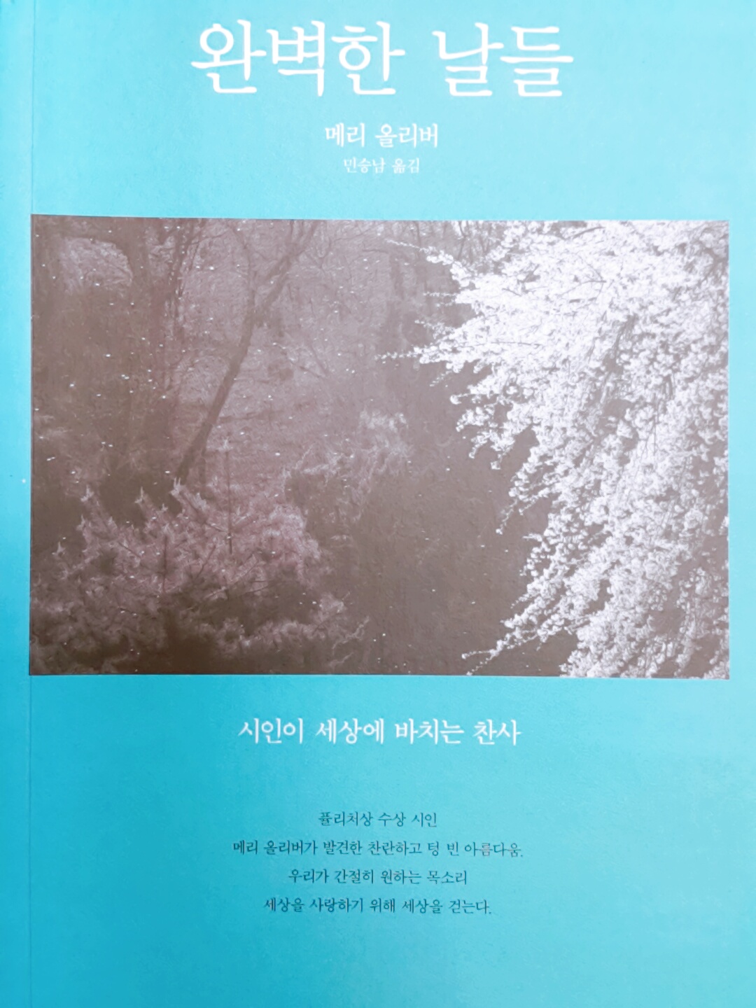  완벽한 날들 - 메리 올리버