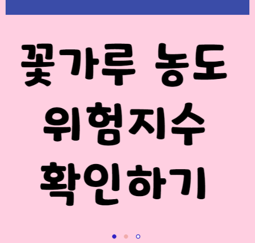  기상청 날씨 누리에서 꽃가루농도 위험지수 확인하고 외출하기