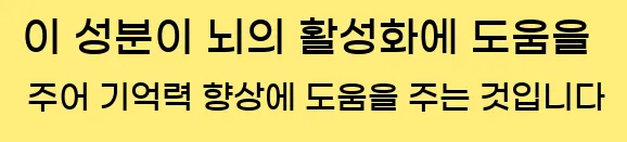  이 성분이 뇌의 활성화에 도움을 주어 기억력 향상에 도움을 주는 것입니다