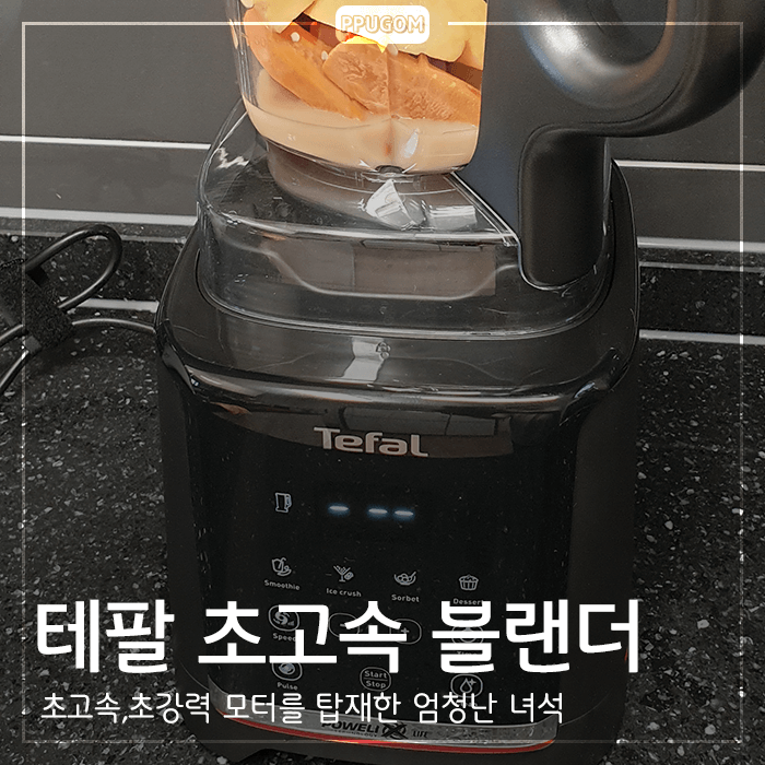  테팔 믹서기 4개월 사용 후기 <내돈내산 리뷰>
