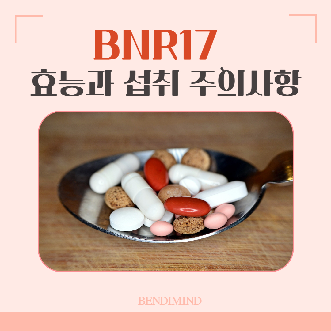 BRN17 효능과 섭취 시 주의사항 메인 설명 그림