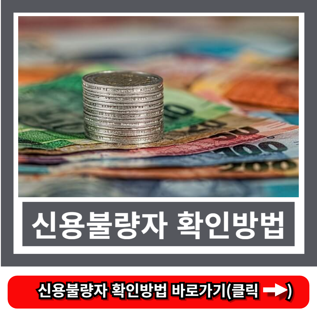 신용불량자 확인방법