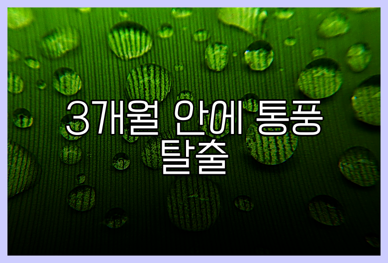 3개월 안에 통풍 탈출