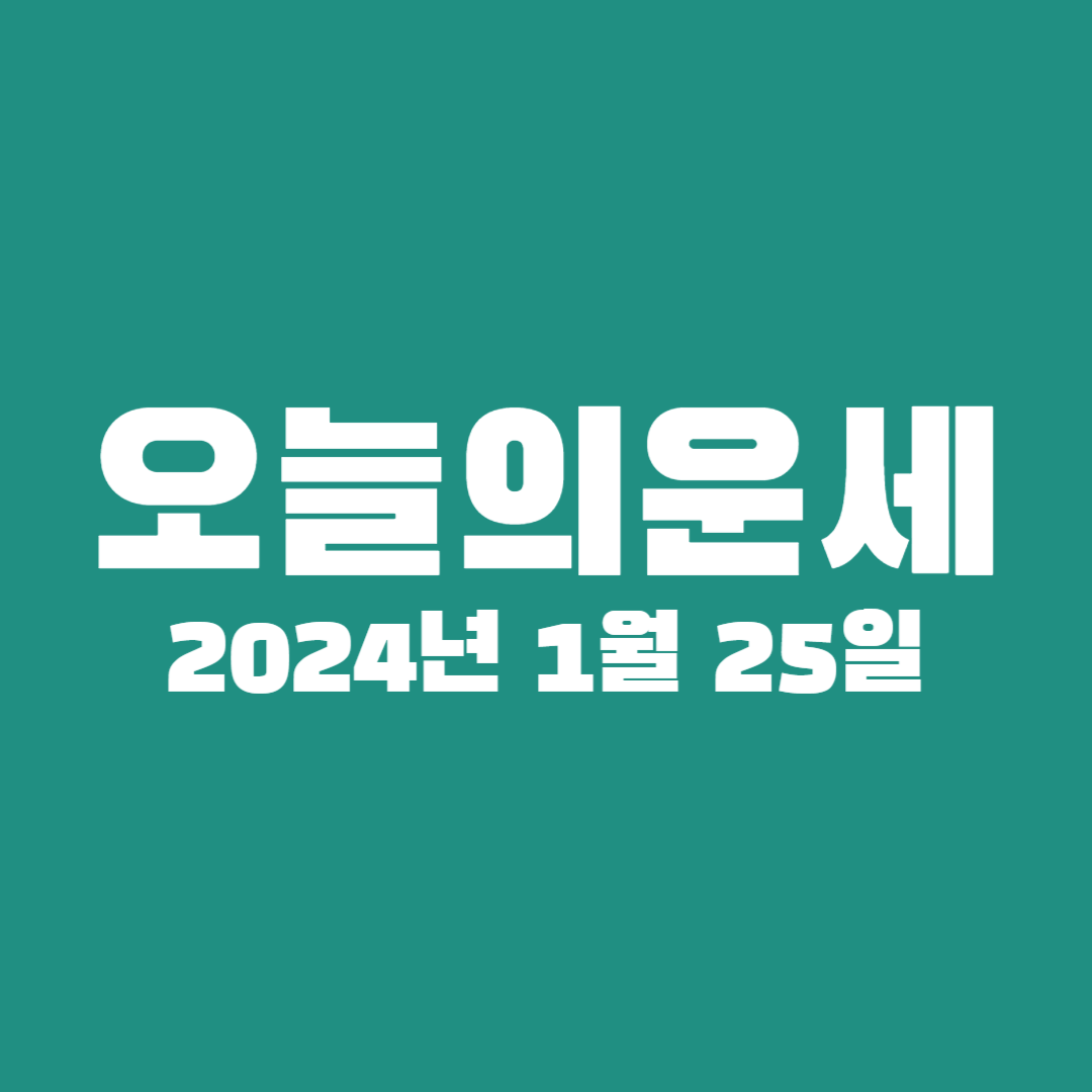 오늘운세보기