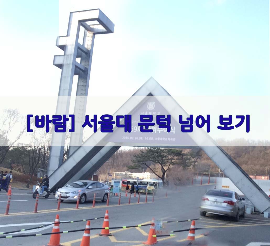  [바람] 서울대 문턱 넘어 보기