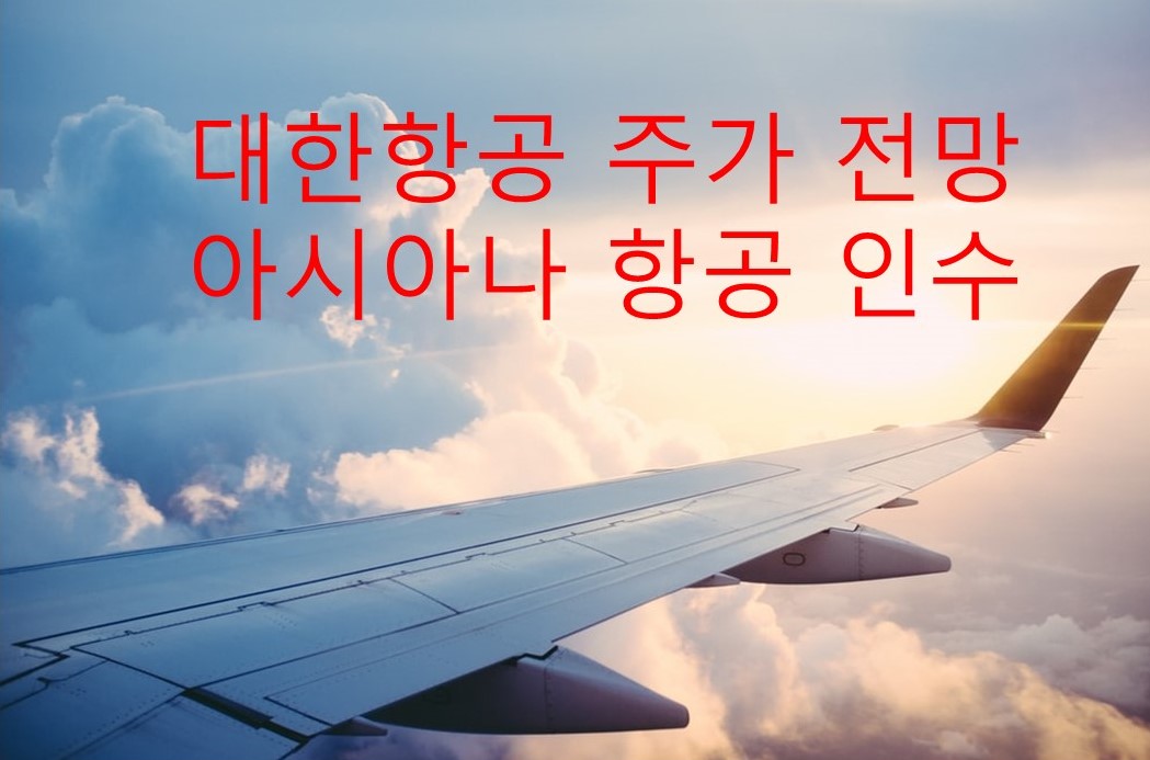  대한항공 주가 / 대한항공 아시아나 인수 향후 전망은?