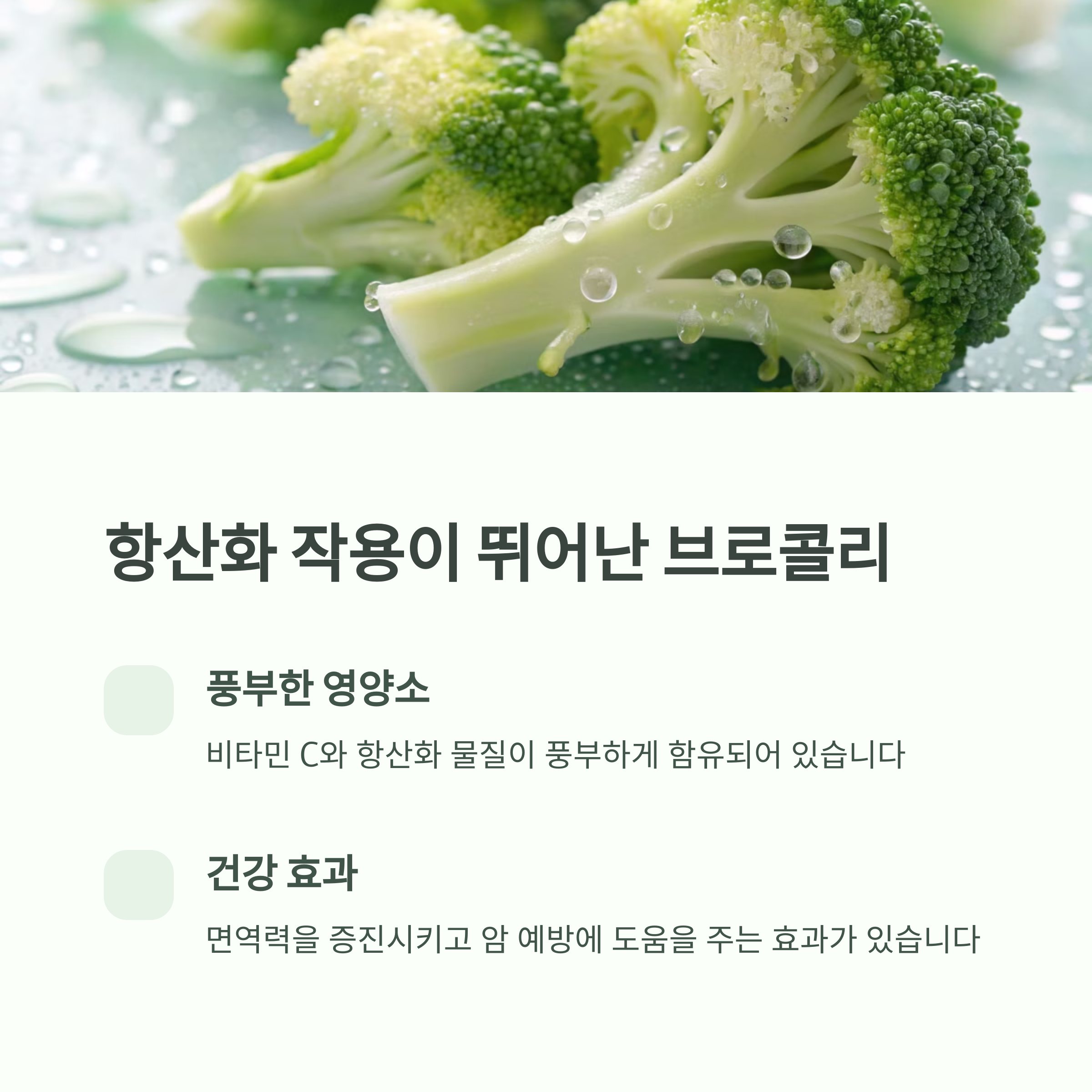 슈퍼푸드8