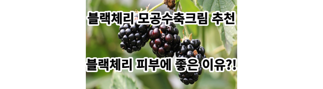  블랙체리?! : 블랙체리 모공수축크림 대박 효과, 모공 줄이는 법
