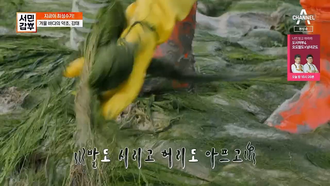 서민갑부.E421.230205p.H264-F1RST.mp4_20230205_180914.181.jpg