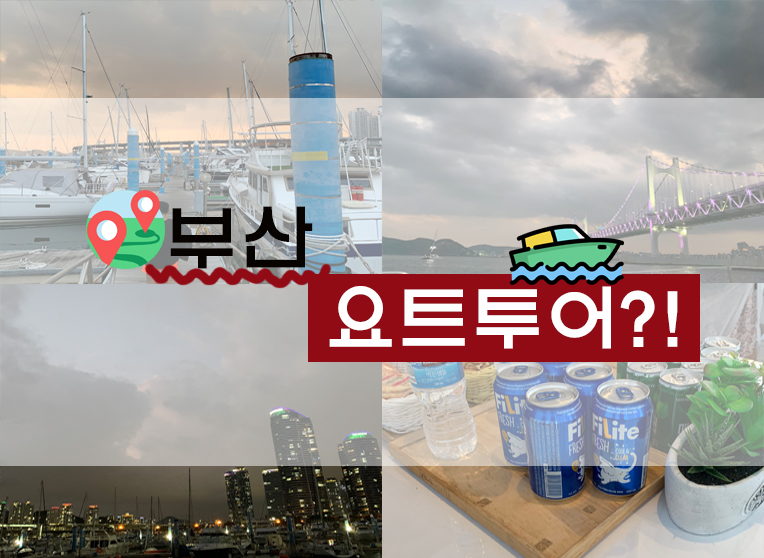  [일상/정보] 요트탈래? : 부산요트투어 후기 (+예매처/ 타는 곳/금액/ 코스 등)