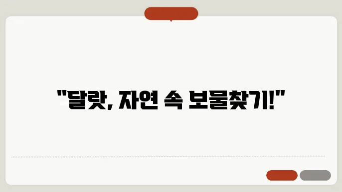 달랏 농장 체험｜꽃과 채소가 가득한 자연 속 하루