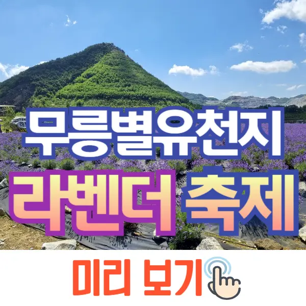 무릉별유천지 라벤더 축제