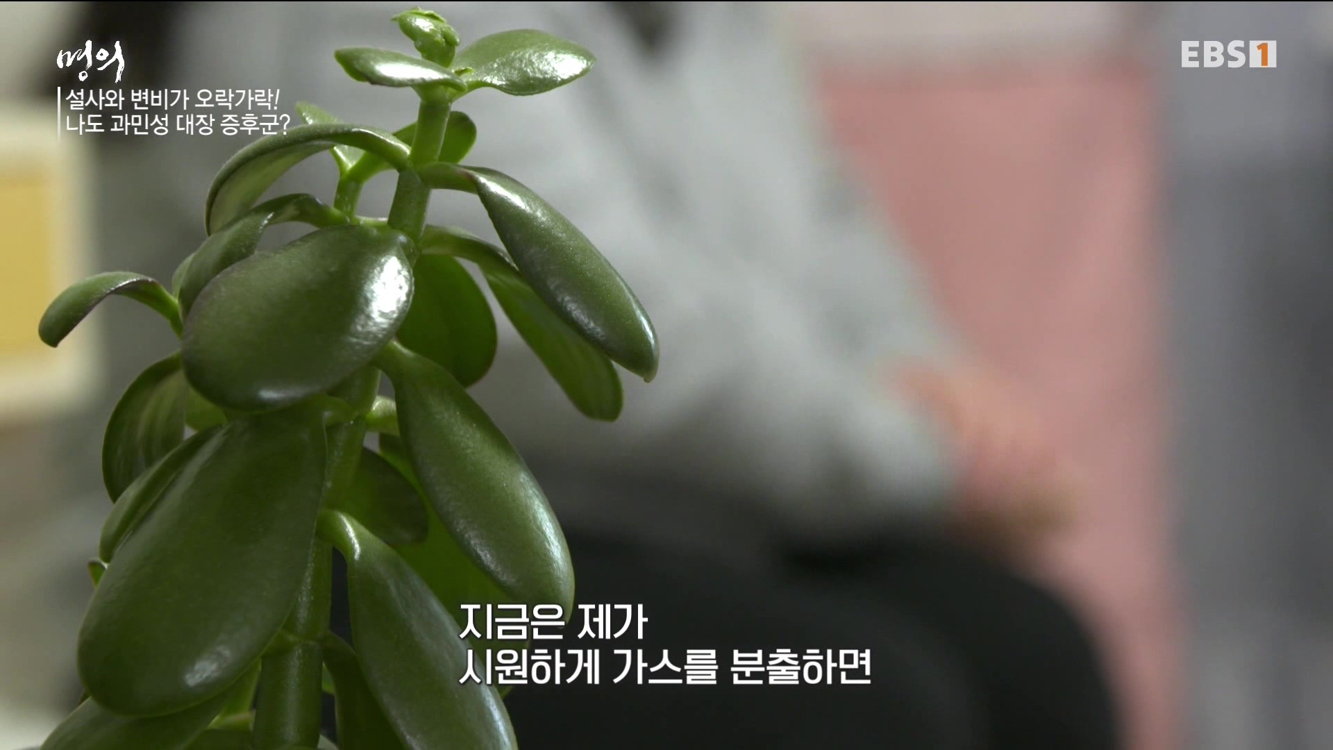 잘 먹고 잘 싸는 법 240323.mp4_20240324_172839.441.jpg
